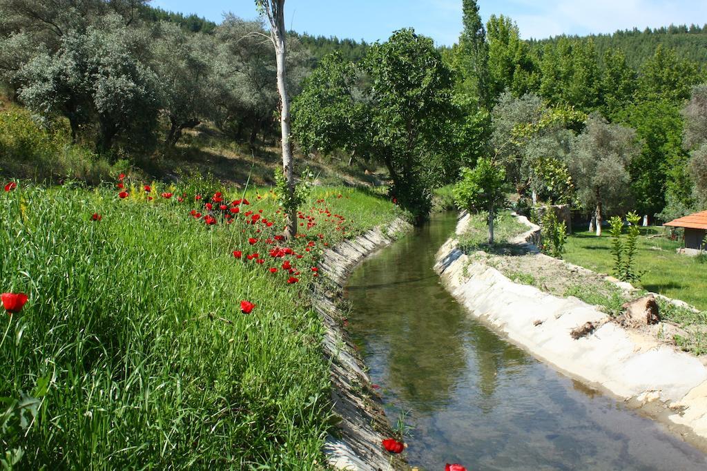 Uyku Vadisi Hotel Agaclihuyuk Εξωτερικό φωτογραφία