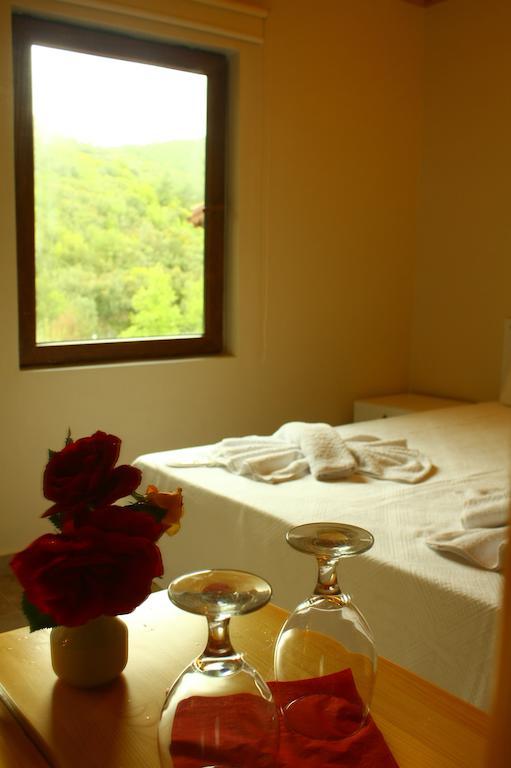 Uyku Vadisi Hotel Agaclihuyuk Δωμάτιο φωτογραφία