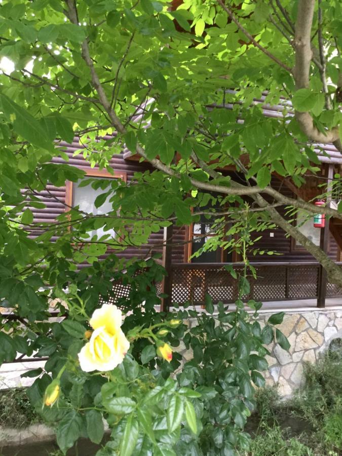 Uyku Vadisi Hotel Agaclihuyuk Εξωτερικό φωτογραφία